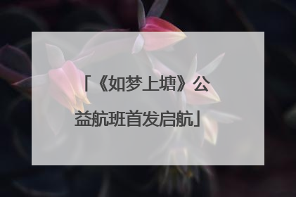 《如梦上塘》公益航班首发启航