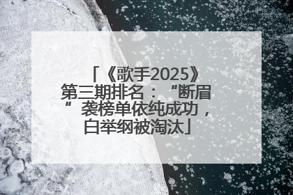 《歌手2025》第三期排名：“断眉”袭榜单依纯成功，白举纲被淘汰