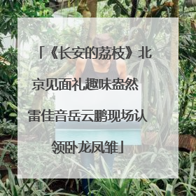 《长安的荔枝》北京见面礼趣味盎然 雷佳音岳云鹏现场认领卧龙凤雏