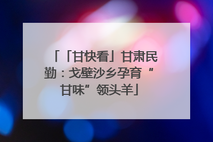 「甘快看」甘肃民勤：戈壁沙乡孕育“甘味”领头羊