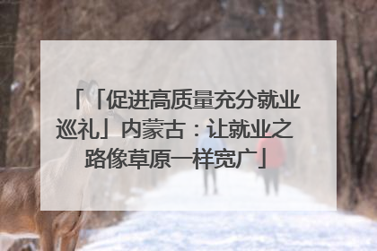 「促进高质量充分就业巡礼」内蒙古：让就业之路像草原一样宽广