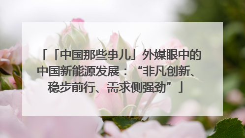 「中国那些事儿」外媒眼中的中国新能源发展：“非凡创新、稳步前行、需求侧强劲”