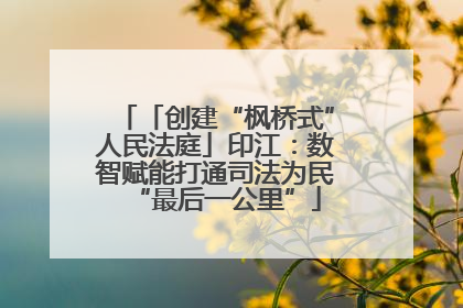 「创建“枫桥式”人民法庭」印江：数智赋能打通司法为民“最后一公里”