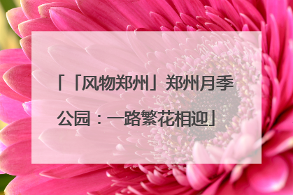 「风物郑州」郑州月季公园：一路繁花相迎