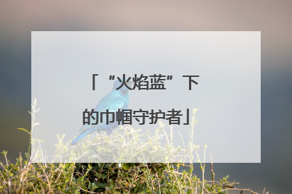 “火焰蓝”下的巾帼守护者