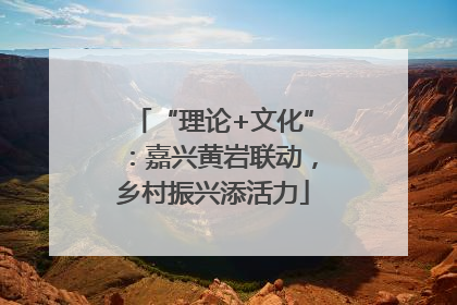 “理论+文化”：嘉兴黄岩联动，乡村振兴添活力
