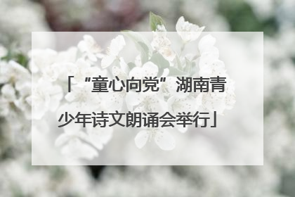 “童心向党”湖南青少年诗文朗诵会举行