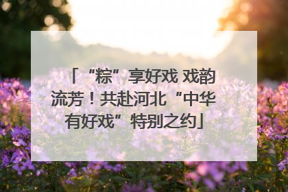 “粽”享好戏 戏韵流芳！共赴河北“中华有好戏”特别之约