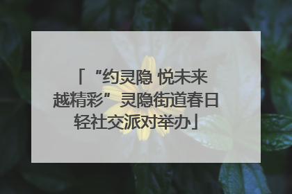 “约灵隐 悦未来 越精彩”灵隐街道春日轻社交派对举办
