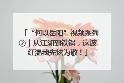 “何以岳阳”视频系列②｜从江湖到铁锅，这波红温我先炫为敬！
