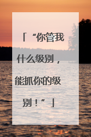 “你管我什么级别，能抓你的级别！”