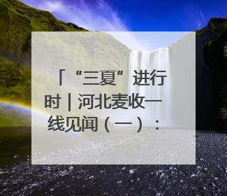 “三夏”进行时｜河北麦收一线见闻（一）：小麦机收减损“竞技” 农机高手麦田“过招”