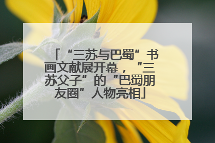 “三苏与巴蜀”书画文献展开幕，“三苏父子”的“巴蜀朋友圈”人物亮相