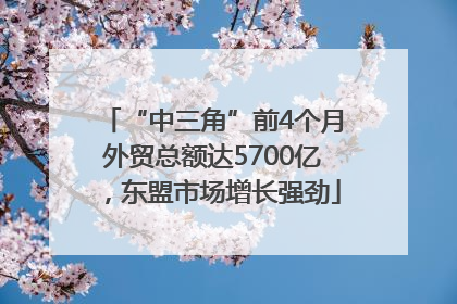 “中三角”前4个月外贸总额达5700亿，东盟市场增长强劲