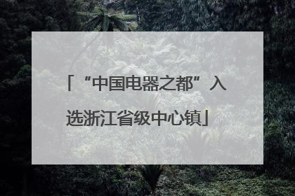 “中国电器之都”入选浙江省级中心镇