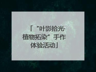 “叶影拾光·植物拓染”手作体验活动
