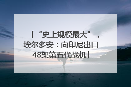 “史上规模最大”，埃尔多安：向印尼出口48架第五代战机