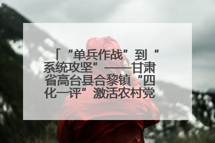 “单兵作战”到“系统攻坚”——甘肃省高台县合黎镇“四化一评”激活农村党员管理新引擎