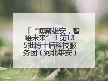 “博聚雄安，智绘未来”！第135批博士后科技服务团（河北雄安）活动成功举办