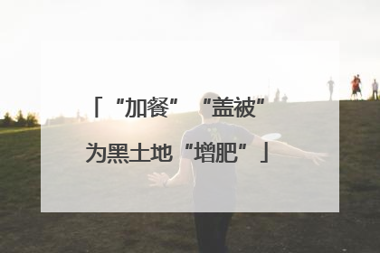 “加餐”“盖被” 为黑土地“增肥”