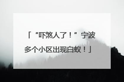 “吓煞人了！”宁波多个小区出现白蚁！
