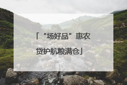 “场好品”惠农贷护航粮满仓
