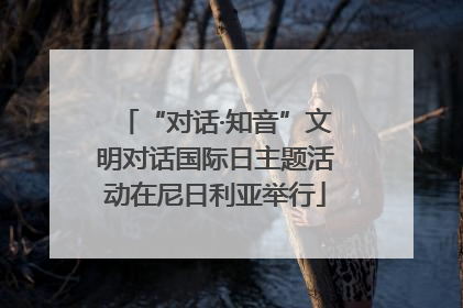 “对话·知音”文明对话国际日主题活动在尼日利亚举行