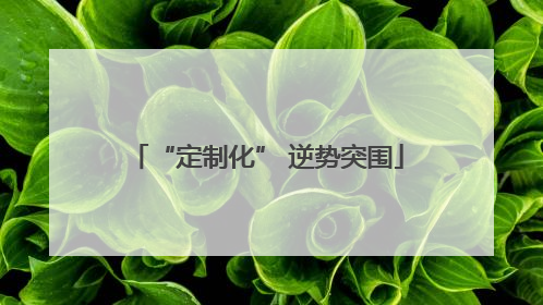 “定制化” 逆势突围