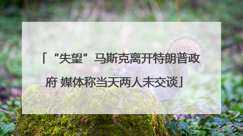 “失望”马斯克离开特朗普政府 媒体称当天两人未交谈