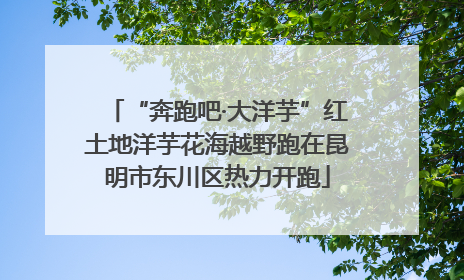 “奔跑吧·大洋芋”红土地洋芋花海越野跑在昆明市东川区热力开跑