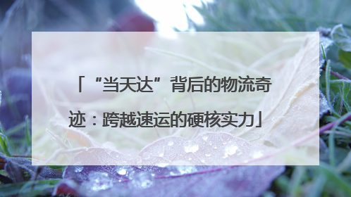 “当天达”背后的物流奇迹：跨越速运的硬核实力