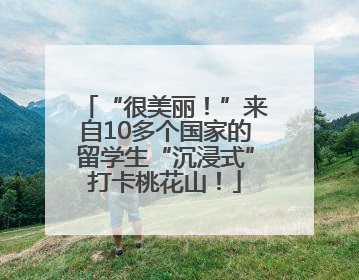 “很美丽！”来自10多个国家的留学生“沉浸式”打卡桃花山！