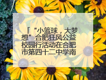“小篮球，大梦想”合肥狂风公益校园行活动在合肥市第四十二中学南城分校圆满落幕