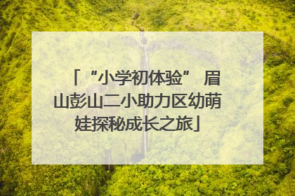 “小学初体验” 眉山彭山二小助力区幼萌娃探秘成长之旅