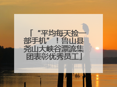 “平均每天捡一部手机”！鲁山县尧山大峡谷漂流集团表彰优秀员工