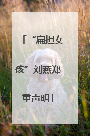 “扁担女孩”刘燕郑重声明