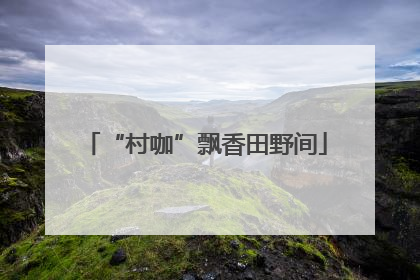 “村咖”飘香田野间