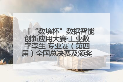 “数境杯”数据智能创新应用大赛·工业数字孪生 专业赛（第四届）全国总决赛及颁奖典礼成功举办