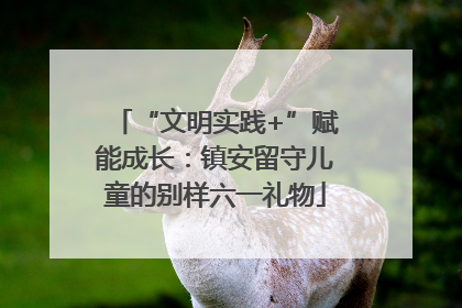 “文明实践+”赋能成长：镇安留守儿童的别样六一礼物