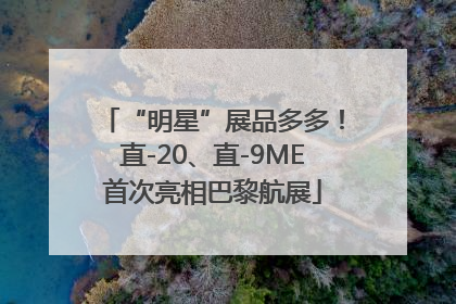 “明星”展品多多！直-20、直-9ME首次亮相巴黎航展