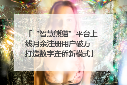 “智慧熊猫”平台上线月余注册用户破万 打造数字连侨新模式