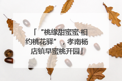 “桃缘甜蜜蜜·相约桃花驿”，孝南杨店镇早蜜桃开园