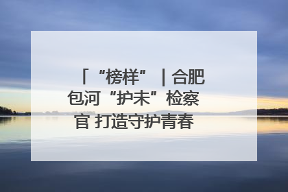 “榜样”｜合肥包河“护未”检察官 打造守护青春成长的永恒灯塔