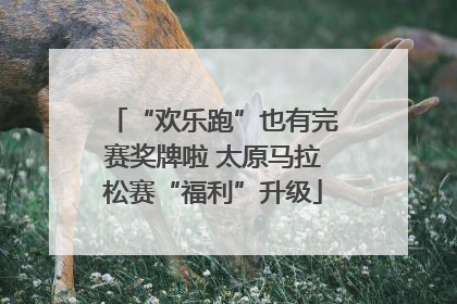 “欢乐跑”也有完赛奖牌啦 太原马拉松赛“福利”升级