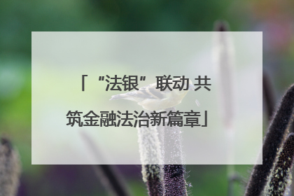 “法银”联动 共筑金融法治新篇章
