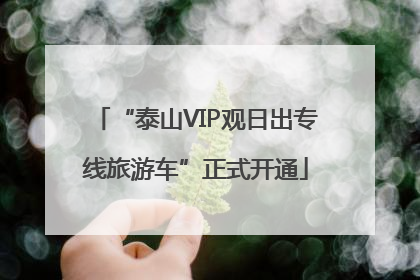“泰山VIP观日出专线旅游车”正式开通