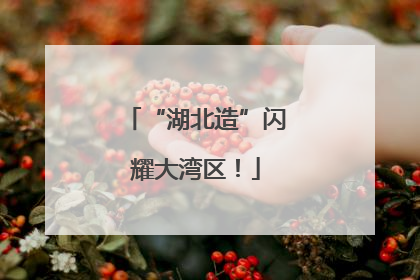 “湖北造”闪耀大湾区！
