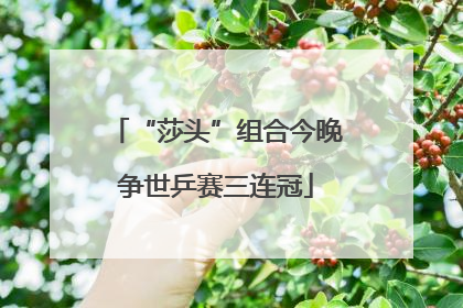 “莎头”组合今晚争世乒赛三连冠