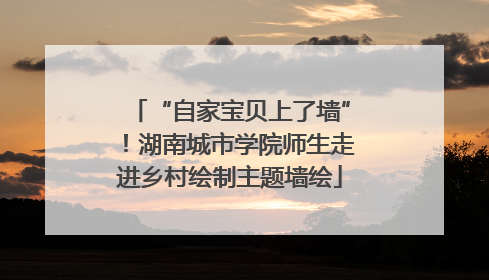 “自家宝贝上了墙”！湖南城市学院师生走进乡村绘制主题墙绘
