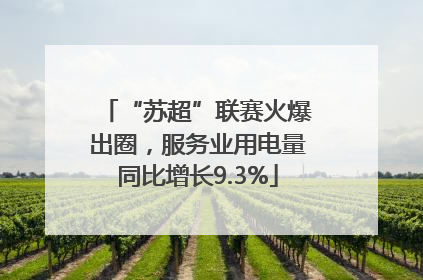 “苏超”联赛火爆出圈，服务业用电量同比增长9.3%